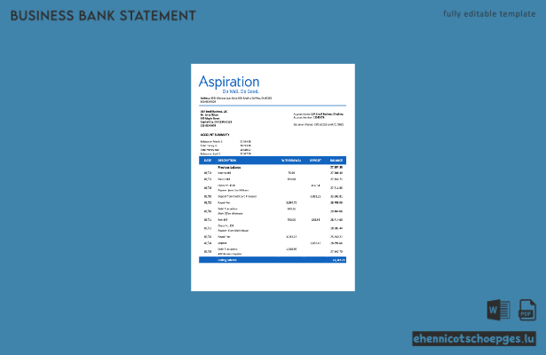 USA Aspirationfirm Kontoauszug Word- und PDF-Beispielvorschau